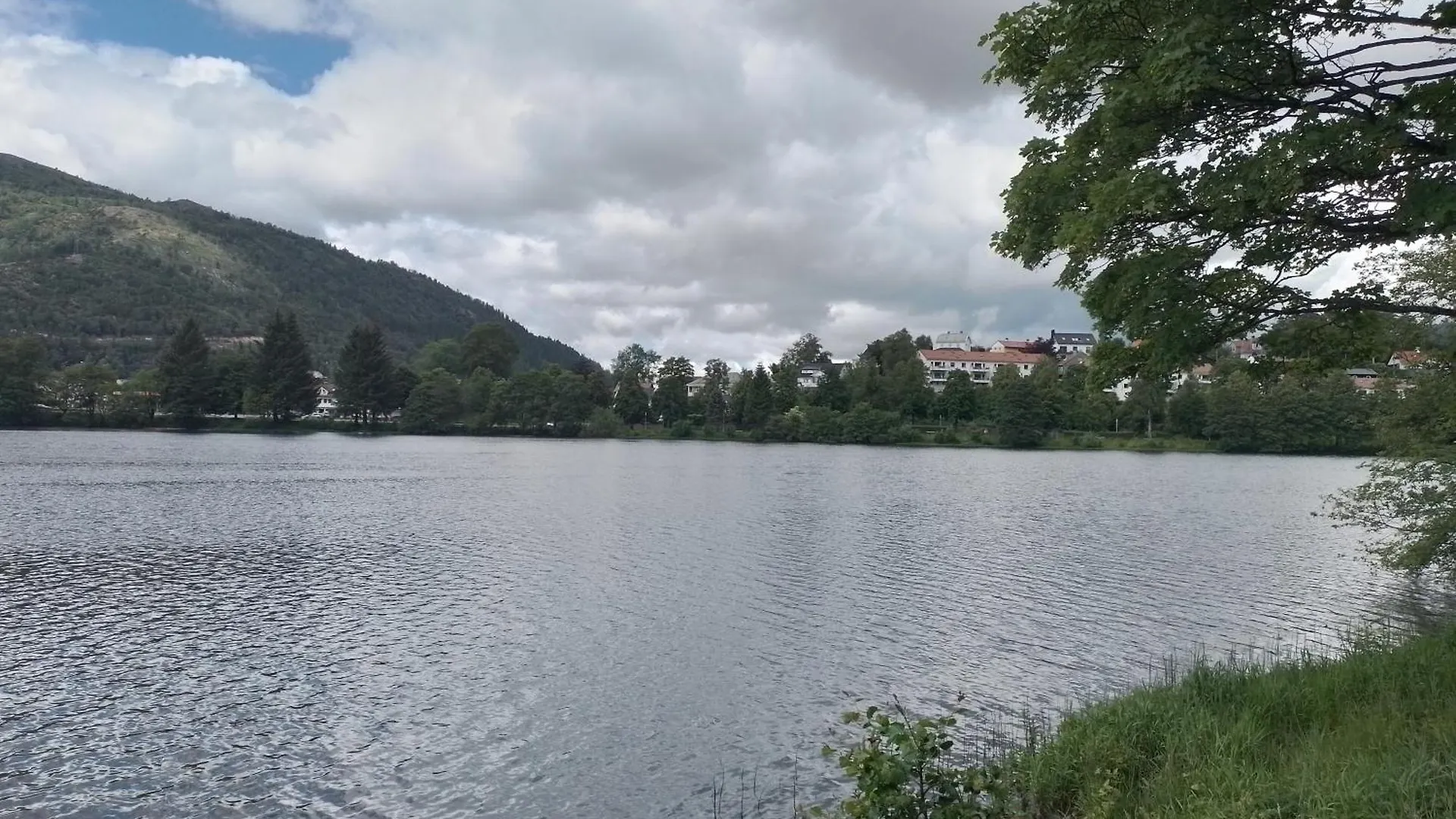 Cosy Apartment Near City Center Bergen